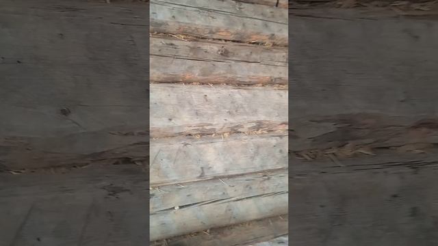 мастерская весной