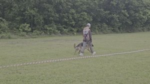 б/о Аксельбруннен ИТАРА +0+ №48. КЧК ХАБАРОВСК 13 июня`25 В.Киселева Моно н/о