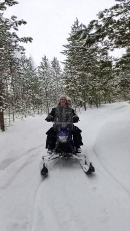 ЗИМНИЙ ЛЕС!
