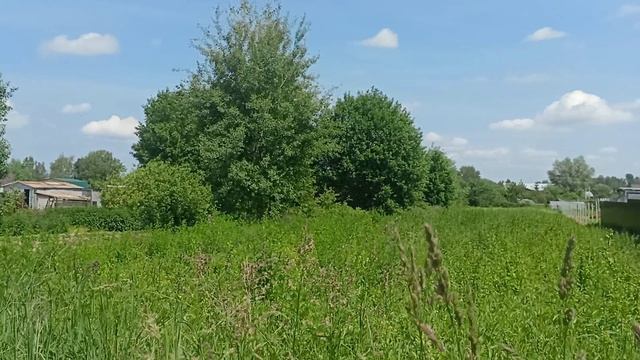 малое рогачево 6079