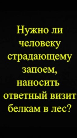 Мозгоправ самоубился. Книга первая. Вопрос 70