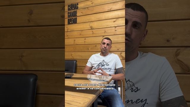 Вечный вопрос: сосна или кедр?