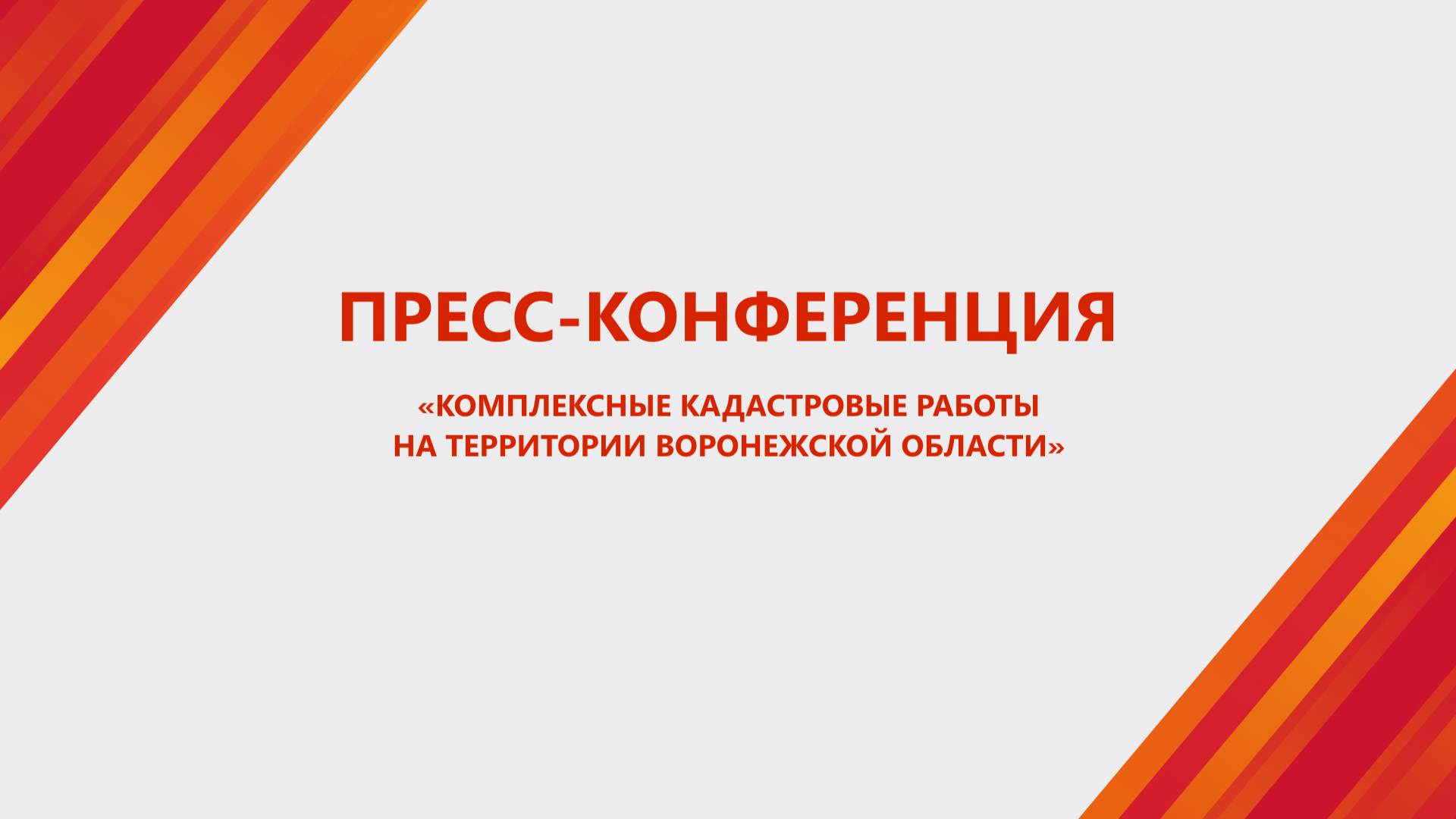 Брифинг: «Комплексные кадастровые работы на территории Воронежской области»