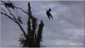 АСМР. Человек мотылек. Городская легенда.