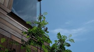 Частный дом Волгоград