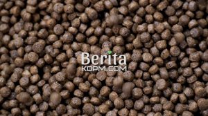 Korm.com