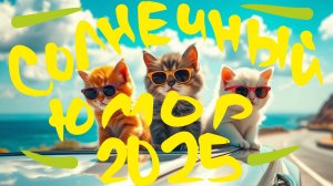 Солнечный позитивный юмор 2025!