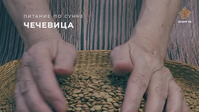 Чечевица | Питание по сунне