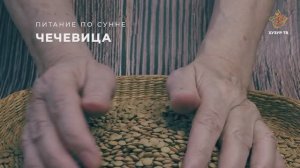 Чечевица | Питание по сунне