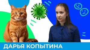 Вирус иммунодефицита у кошек. Что важно знать? | Короче, Омск 621