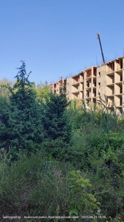 Вид от из-за ерика на строительство ЖК Кипарис Сукко Мирная 7