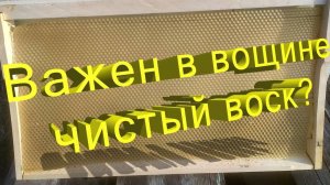 Тайны качественной вощины: профессор Кашковский о чистом воске