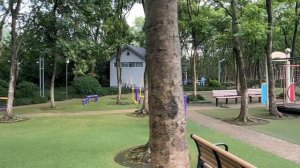 Прекрасная прогулка по парку лето и супер настроение природа Китай красиво парки и азия рутуб