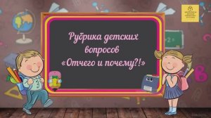 Online – рубрика детских вопросов «Отчего и почему. Выпуск 8»