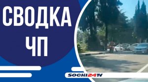 В лесу Хостинского района Сочи заблудилась 31-летняя местная жительница | СВОДКА ЧП 26.06.2025