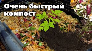 Получаем ценное удобрение. Ускоряем созревание компоста