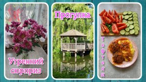 VLOG из 🇩🇪: Вкуснейшие тефтели с пюре. Прогулка по красивому парку.