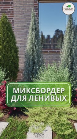 Миксбордер для ленивых 👩🏻🌾