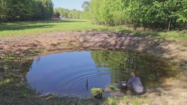 Черничный Хутор. Чем чаще ГОСТИ, тем чище в ДОМЕ НА ХУТОРЕ. Водоплавающих выселяем...