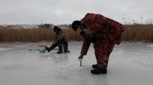 Снова я и ПЕТРОВИЧ на грустной РЫБАЛКЕ