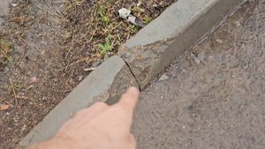 Подлые штучки сенатора.