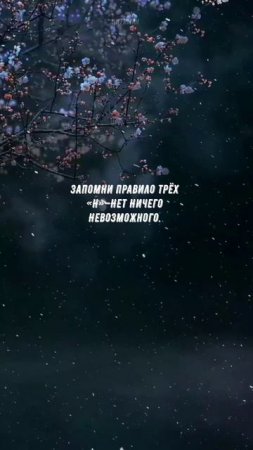 #882 Цитата дня. Мотивация.