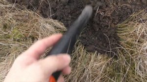 Поиск январских монет с ИНТРОНИКОМ