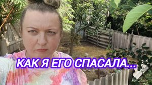 КАК Я ЕГО СПАСАЛА...
