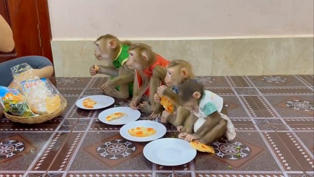 Обезьянки едят ЛЕПЕШКИ Живые МАТРЕШКИ
