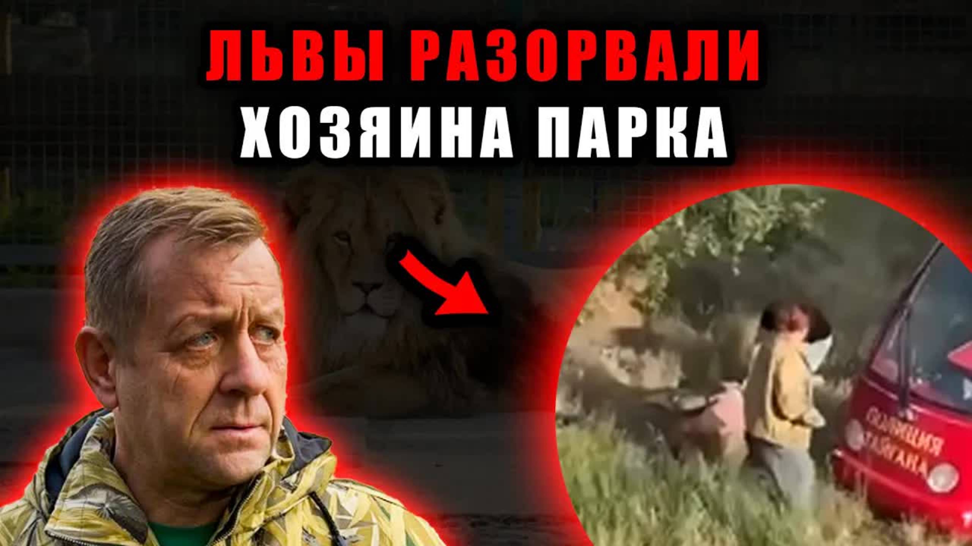 Львы растерзали владельца крымского сафари-парка «Тайган» Олега Зубкова. Новости шоубизнеса