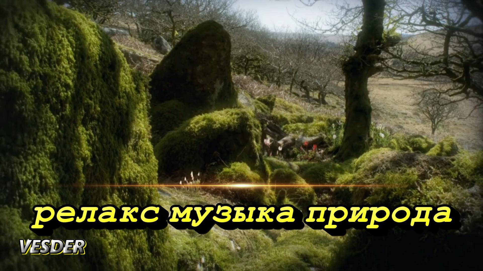 релакс музыка природа