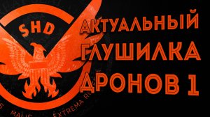 1 Актуальные сборка на Глушилка дронов 2025  The Division 2