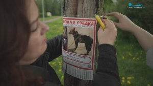 «ВаськаАлерт»: как не потерять питомца на прогулке и по каким правилам его искать