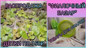 "ФИАЛОЧНЫЙ БАЗАР". Распродажа - детки по 150₽. Товары для фиалок.