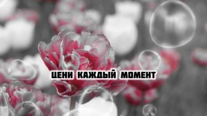 Цени каждый миг…