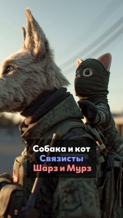 Когда на защите даже хвостатые