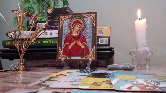 Отношение  родственников  к  вам