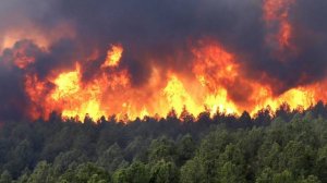 СИТУАЦИЯ на УКРАИНЕ на 26.06.2025  Карта Боевых Действий