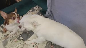 Наидобрейшего субботнего утречка и чудесного дня.
