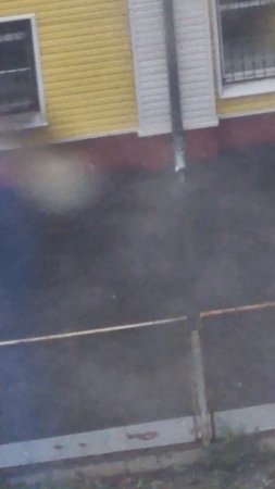 Типичная погода летом