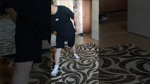Учим Боню команде "Змейка" (пишите в коментарии какие команды знает ваш питомец)