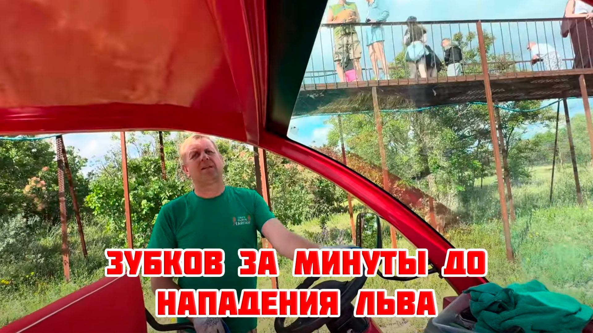 Олег Зубков за минуты до нападения льва в Тайгане, 26 июня