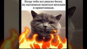 Я...#авторскаяпесня  #музыка #music #рок  #музыкаонлайн #авторскаяпесня #музыка #музыкаонлайн