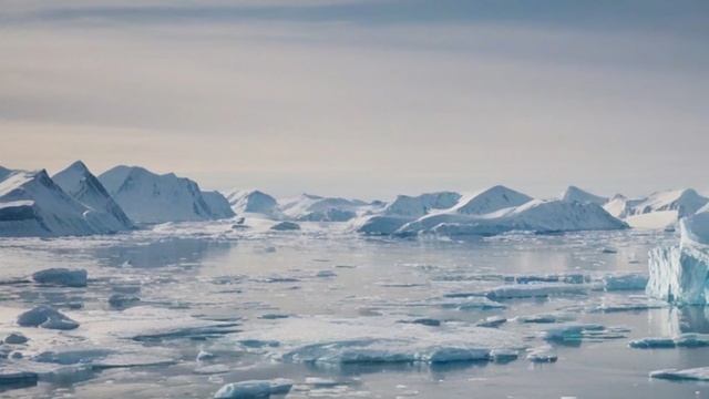 Птичьи миграции Путешествия, достойные восхищения