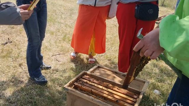 В гостях у Бабушки Пчелы