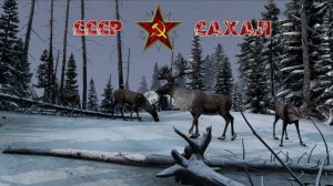 Dayz. CCCP_Sakhal №2