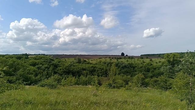 Начала красить стены. Вернулись в деревню. Удивилась небывалому урожаю.
