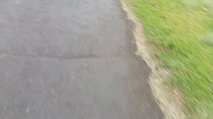 сидит на просрочке в германии