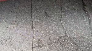 ВАЗ-2101 Рубин Проверка краску толщиномером