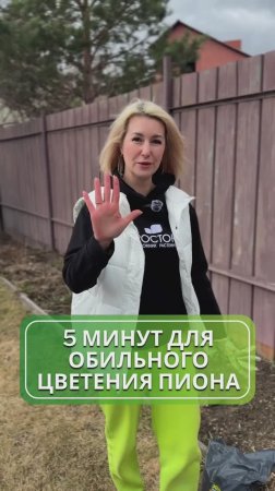 Секреты ухода за пионами: как добиться роскошного цветения 🌸